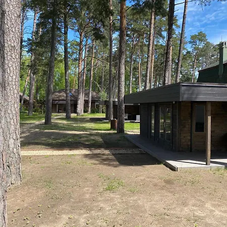 Pine
